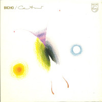 caetano-veloso-todo-bicho-f